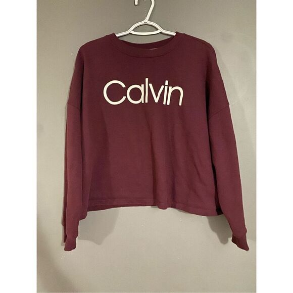 Calvin Klein Garnet Semi Cropped Crew Neck Sweatshirt Size Large - Picture 2 of 5